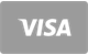 Visa card payment accepted at SpinsLandia Casino